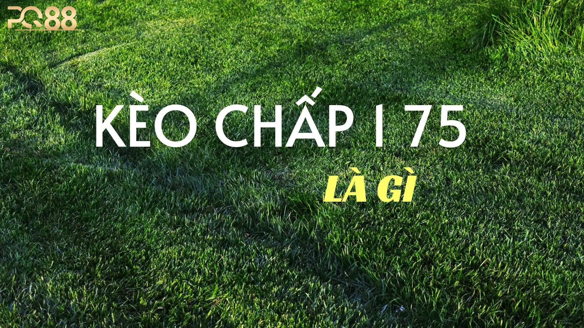 Ưu Điểm Nổi Bật Khi Tham Gia Kèo Chấp 1.75 Tại PQ88